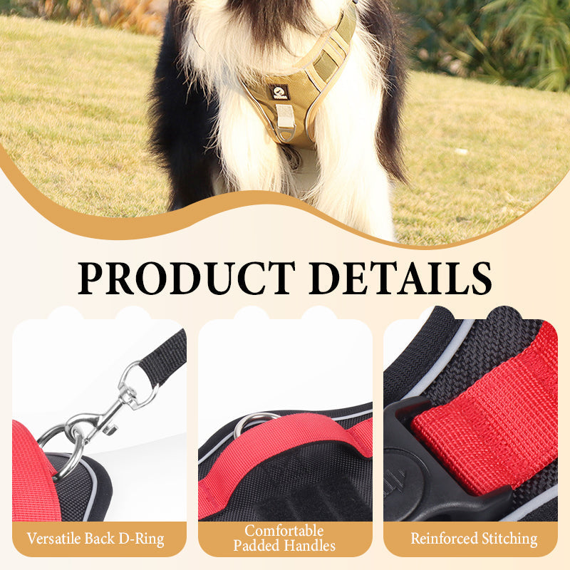 Dog Harness & Leash Set Anti-Pull Front-Clip Integrated LED
