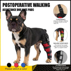 Dog Hind Leg Support Sleeve Stabilizing All-Season Wear