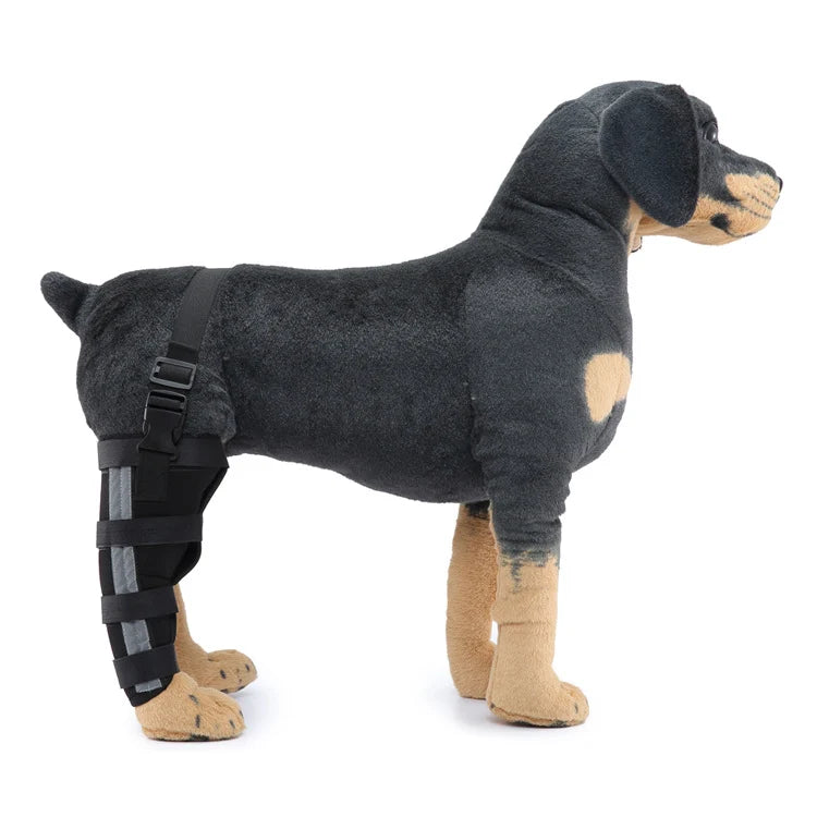 Dog Hind Leg Support Sleeve Stabilizing All-Season Wear