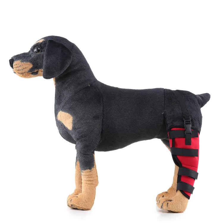 Dog Hind Leg Support Sleeve Stabilizing All-Season Wear