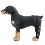 Dog Hind Leg Support Sleeve Stabilizing All-Season Wear