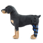 Dog Hind Leg Support Sleeve Stabilizing All-Season Wear