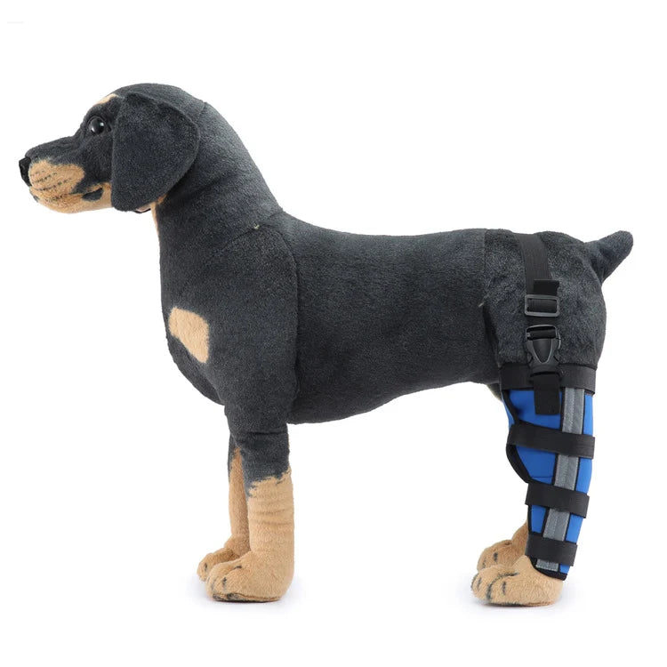 Dog Hind Leg Support Sleeve Stabilizing All-Season Wear