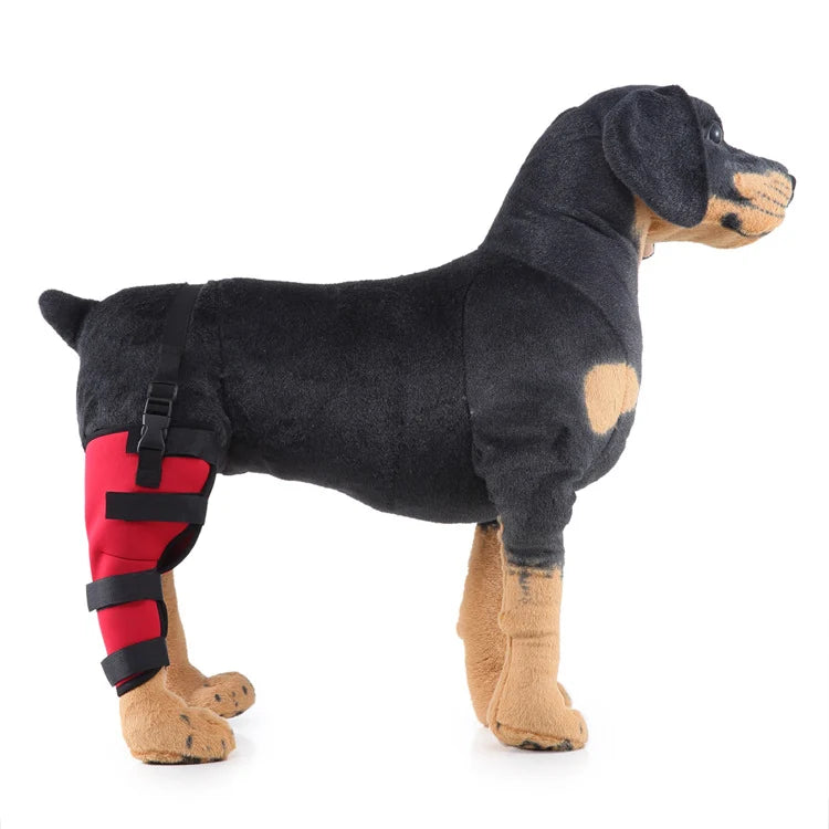 Dog Hind Leg Support Sleeve Stabilizing All-Season Wear