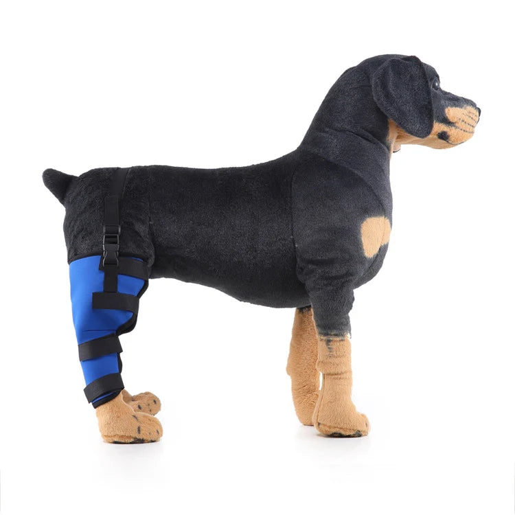 Dog Hind Leg Support Sleeve Stabilizing All-Season Wear