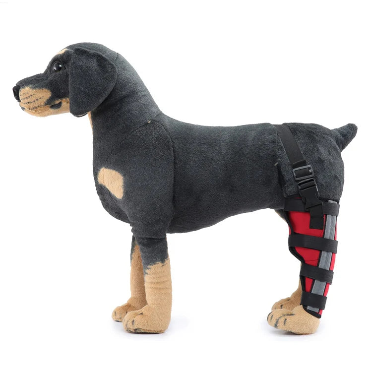 Dog Hind Leg Support Sleeve Stabilizing All-Season Wear