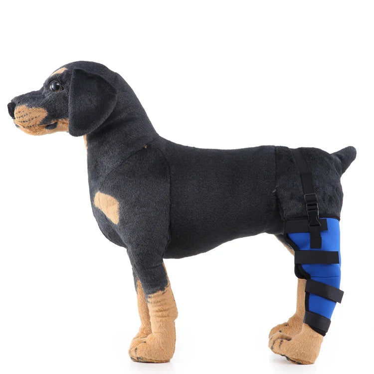 Dog Hind Leg Support Sleeve Stabilizing All-Season Wear
