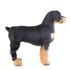 Dog Hind Leg Support Sleeve Stabilizing All-Season Wear
