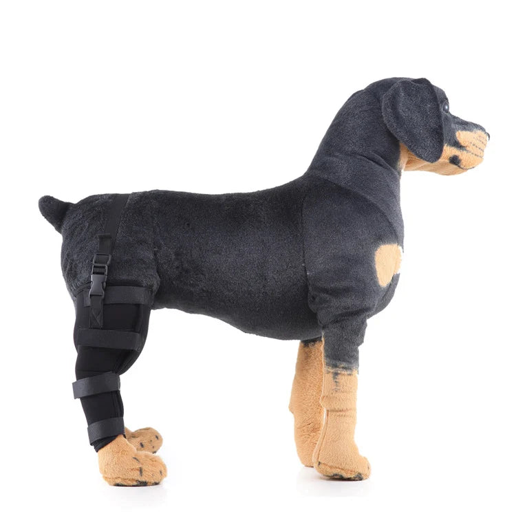 Dog Hind Leg Support Sleeve Stabilizing All-Season Wear