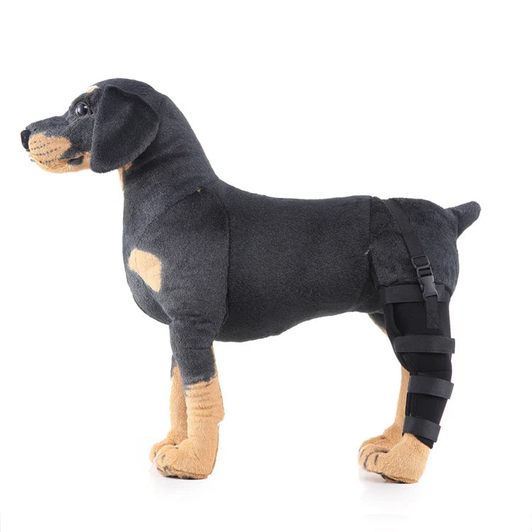 Dog Hind Leg Support Sleeve Stabilizing All-Season Wear