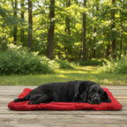 Dog Mat Waterproof Padded Foldable