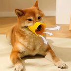 Dog Muzzle Soft Silicone Duckbill Design Adjustable Strap