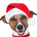 Dog Santa Hat Plush Adjustable Fit