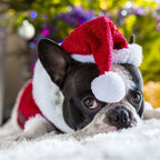 Dog Santa Hat Plush Adjustable Fit