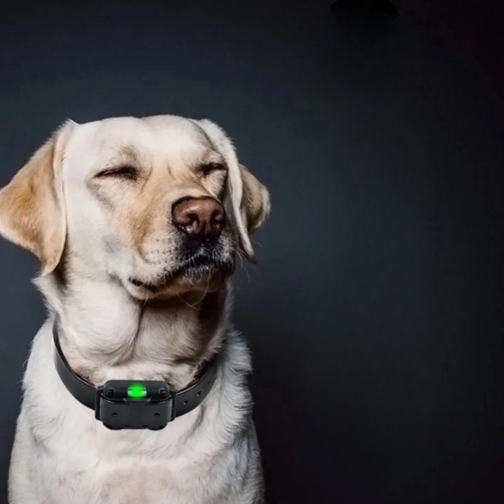 Dog Training Collar Dual Receiver & 2,625 Ft Range