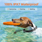 Dog Training Collar Remote Control Water-Resistant USB Rechargeable