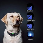 Dog Training Collar Waterproof Rechargeable 2600 Ft Range