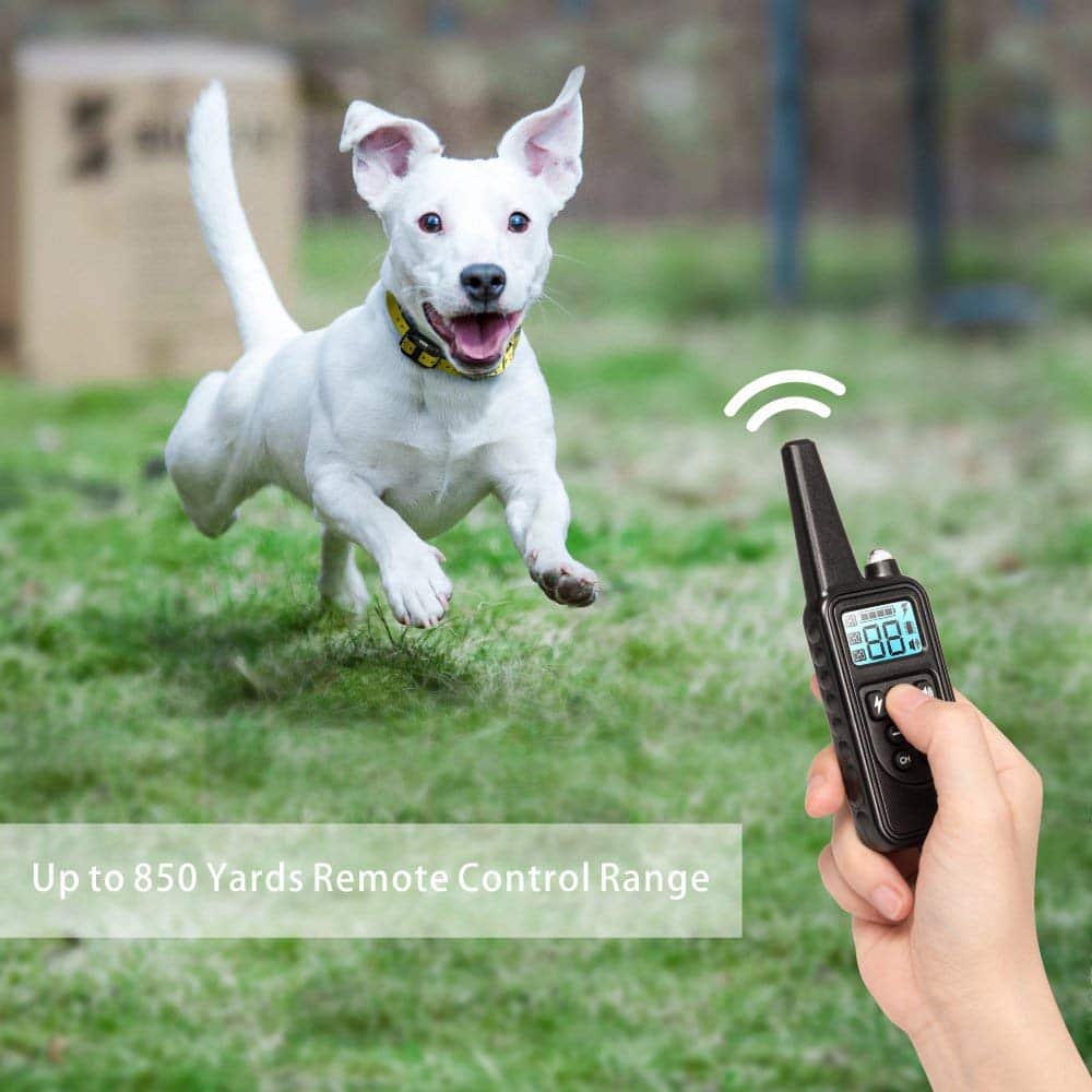 Dog Training Collar Waterproof Rechargeable 2600 Ft Range