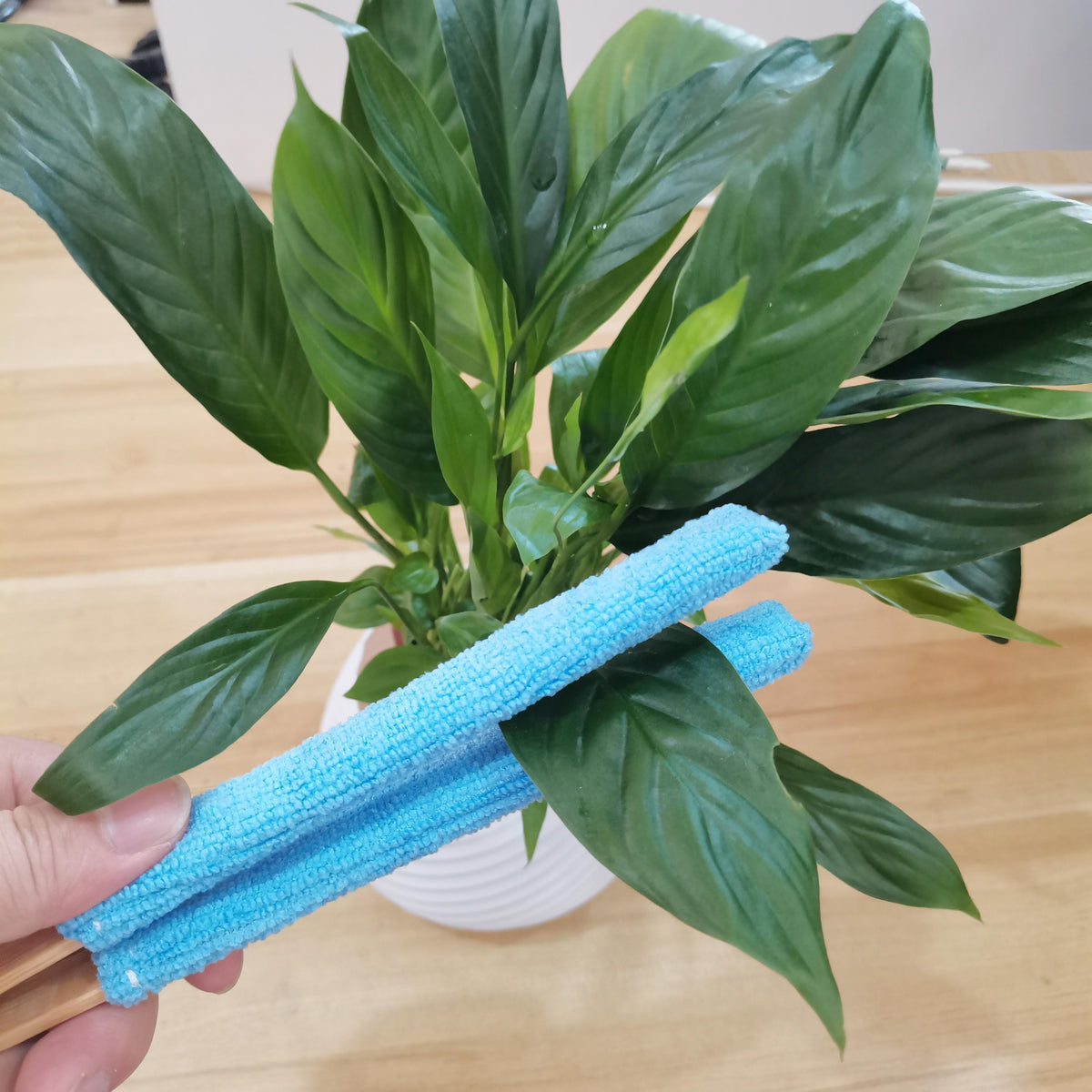 Dust Brush Soft Microfiber Scratch-Free Wooden Handle