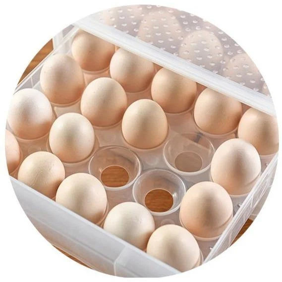 Egg Storage Container Transparent Stackable 60-Egg Capacity