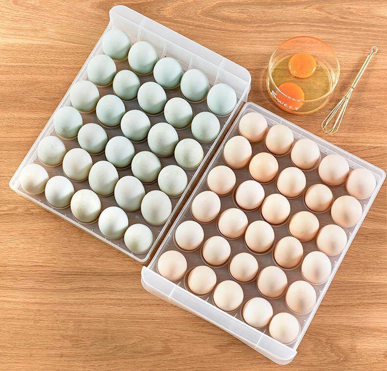 Egg Storage Container Transparent Stackable 60-Egg Capacity