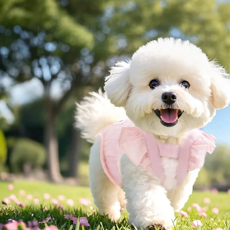 Female Dog Diapers Soft Cotton Washable & Reusable