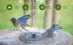 Floating Solar Fountain 4 Interchangeable Nozzles