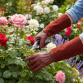 Gardening Gloves Reinforced Double Stitching Elastic Wrist Strap
