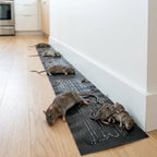 Glue Traps Large Adhesive Surface Non-Toxic Indoor & Outdoor