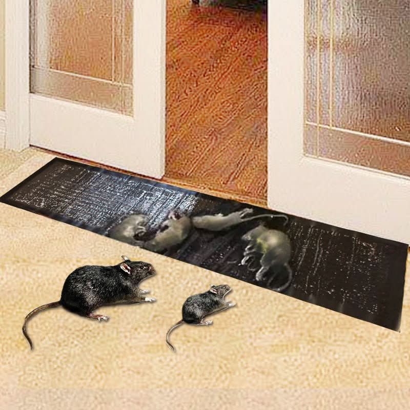 Glue Traps Large Adhesive Surface Non-Toxic Indoor & Outdoor