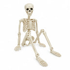Halloween Skeleton Articulated 40cm Realistic Bone
