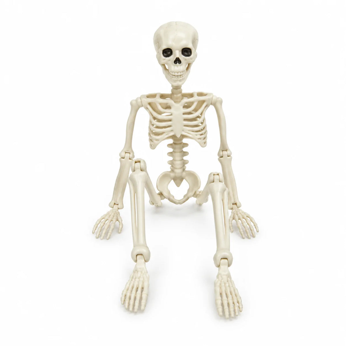 Halloween Skeleton Articulated 40cm Realistic Bone