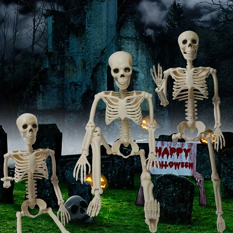 Halloween Skeleton Articulated 40cm Realistic Bone