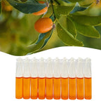 Hanging Fruit Fly & Wasp Trap Attractant Lure Transparent