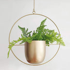 Hanging Plant Pot Stable Iron Frame No Assembly