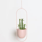Hanging Plant Pot Stable Iron Frame No Assembly