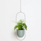 Hanging Plant Pot Stable Iron Frame No Assembly