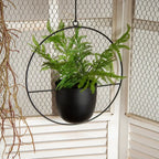 Hanging Plant Pot Stable Iron Frame No Assembly