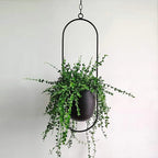 Hanging Plant Pot Stable Iron Frame No Assembly
