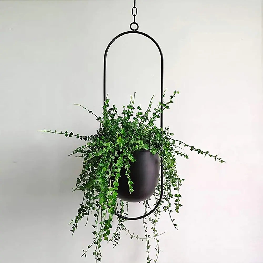Hanging Plant Pot Stable Iron Frame No Assembly