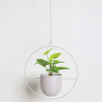 Hanging Plant Pot Stable Iron Frame No Assembly