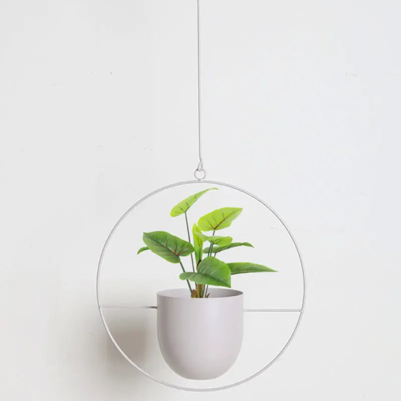 Hanging Plant Pot Stable Iron Frame No Assembly