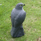 Hawk Decoy Realistic Weatherproof Resin