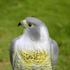 Hawk Decoy Realistic Weatherproof Resin