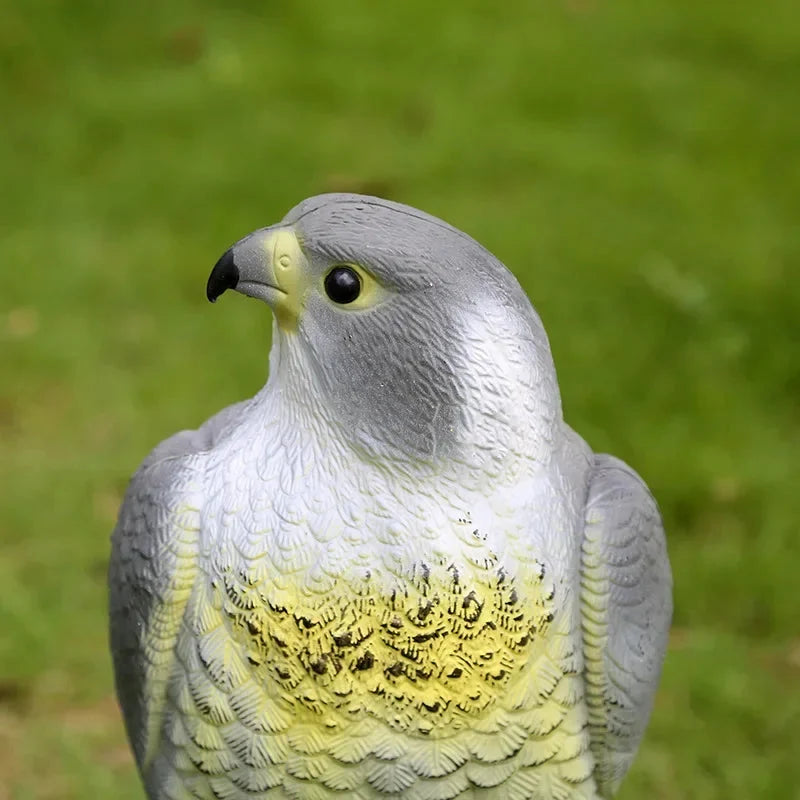 Hawk Decoy Realistic Weatherproof Resin