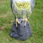 Hawk Decoy Realistic Weatherproof Resin