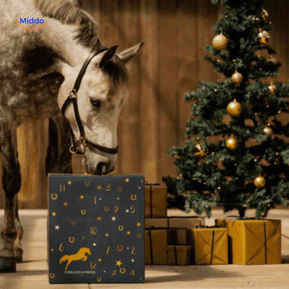 Horse Advent Calendar 24 Compartments Jewelry & Charms