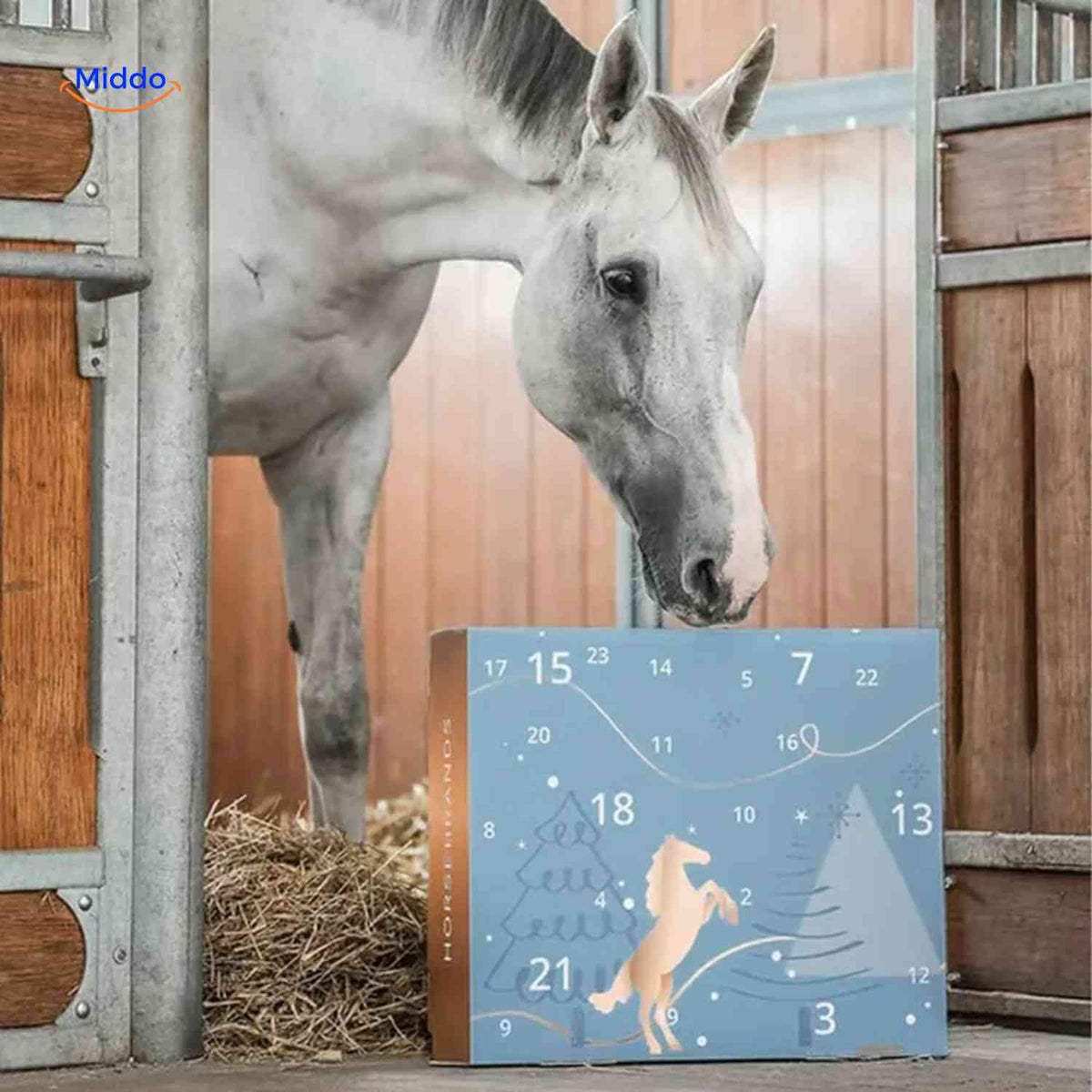 Horse Advent Calendar 24 Compartments Jewelry & Charms