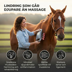 Horse Massage Device Handheld Red Light Massage