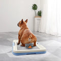 Indoor Dog Toilet Non-Slip Mat & Sturdy Frame